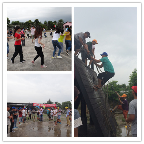 ����6686�����ܳа���˾���ַֹ�˾���ủ����չ�˶���Ӱ��2��