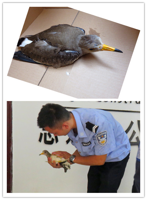 6688����-ȫ����Ȩ��������������ֱ���������ƽ̨_6688�ۡ�