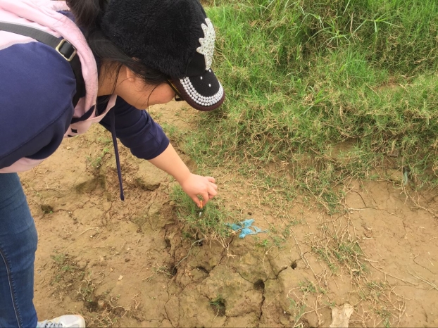 6688����-ȫ����Ȩ��������������ֱ���������ƽ̨_6688�ۡ�