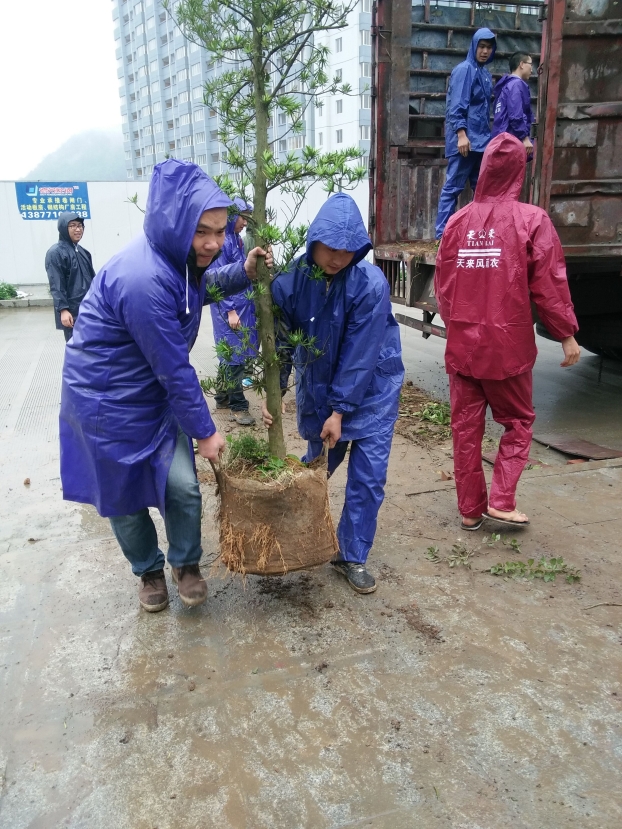 6688����-ȫ����Ȩ��������������ֱ���������ƽ̨_6688�ۡ�